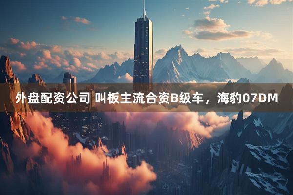 外盘配资公司 叫板主流合资B级车，海豹07DM