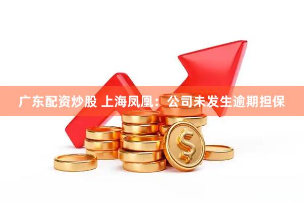 广东配资炒股 上海凤凰：公司未发生逾期担保