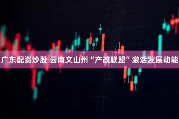 广东配资炒股 云南文山州“产改联盟”激活发展动能