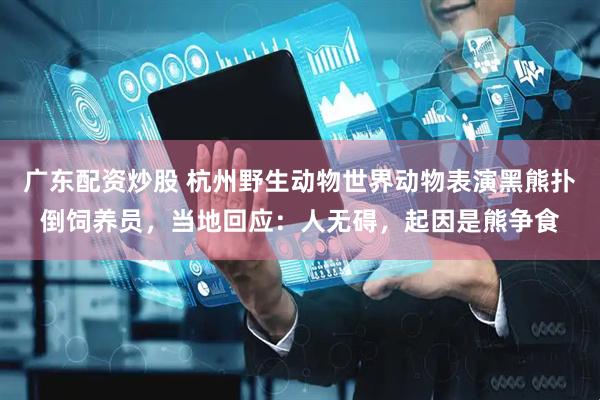 广东配资炒股 杭州野生动物世界动物表演黑熊扑倒饲养员，当地回应：人无碍，起因是熊争食